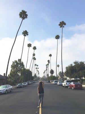 Photo of Karen G.