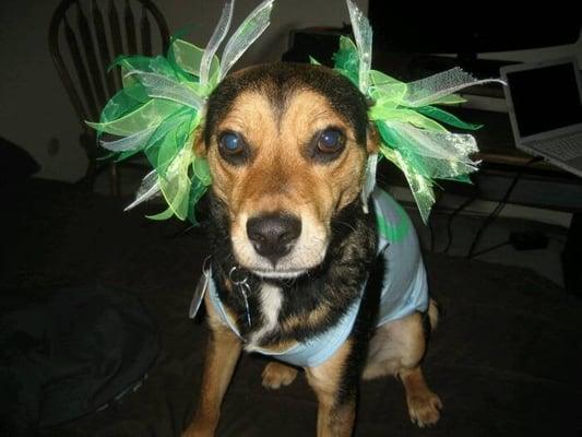 Photo of Jonathan F.