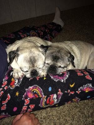 photo of Jennifer A.