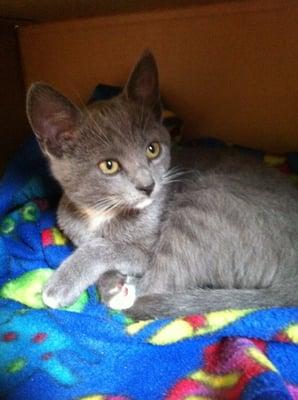 photo of Veronique T.