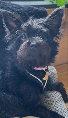 Photo of Sally O.