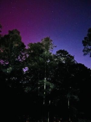 photo of Elizabeth B.