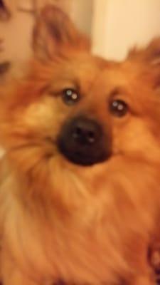 Photo of Chalupa S.