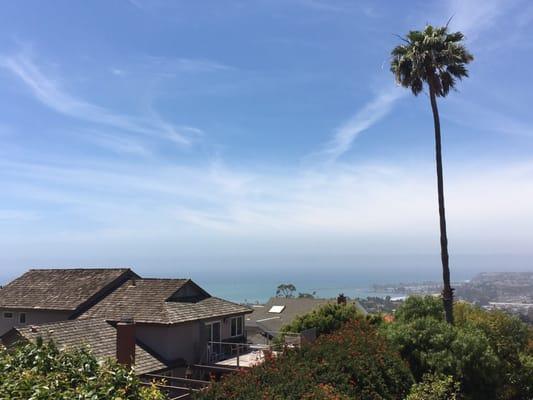 Photo of Angelina S.