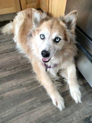 photo of Maria Luz A.