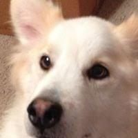 photo of Christopher S.