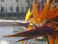 photo of Margaret M.