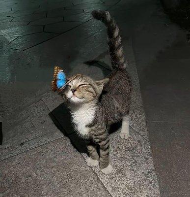 photo of Los3rk1d G.