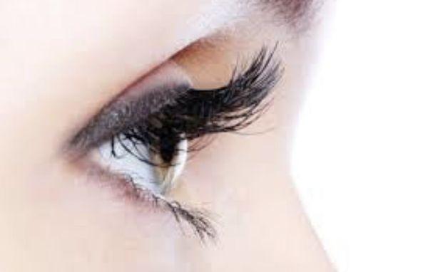 Photo of Beauty S.