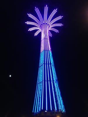 photo of Michelle K.