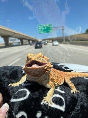 Photo of isabella s.