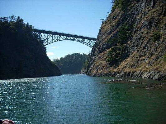 photo of Guadalupe A.