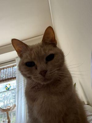 photo of Christine I.