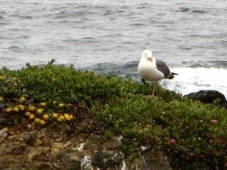 Photo of Debi M.
