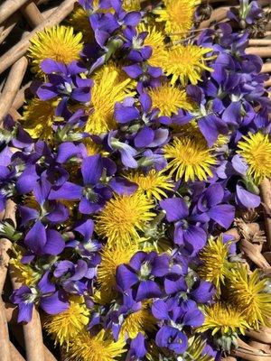 photo of Amanda Marie-Komisarek S.