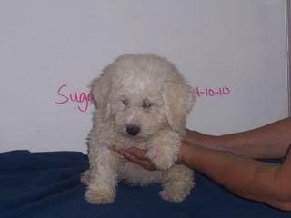 photo of Aroundtown T.