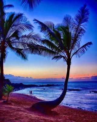 photo of AngelLoreal Y.