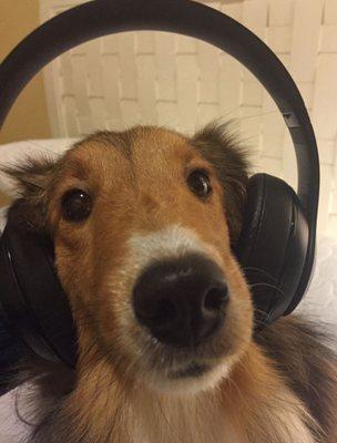 Photo of Nicholas M.