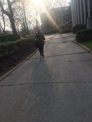 Photo of Jasmine M.