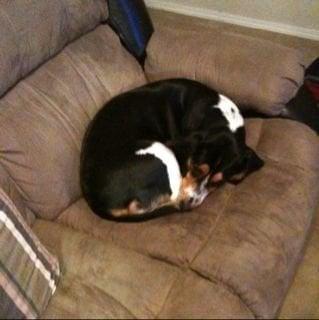 Photo of Kristina G.