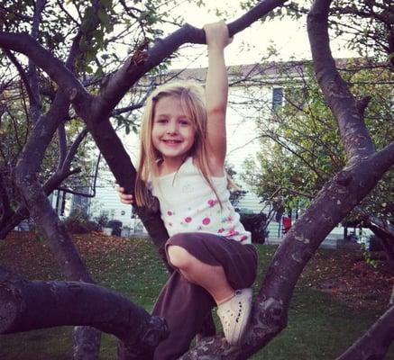 photo of Hatshepsut J.