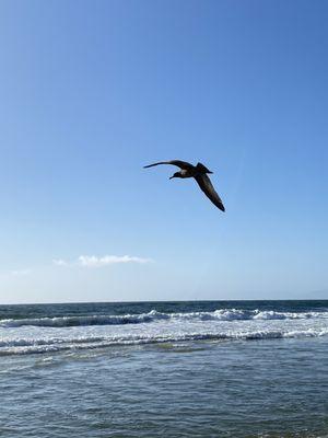 photo of Anonymous A.