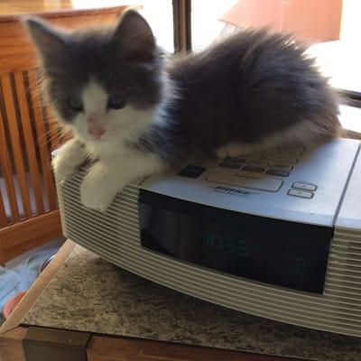 photo of Jennifer A.