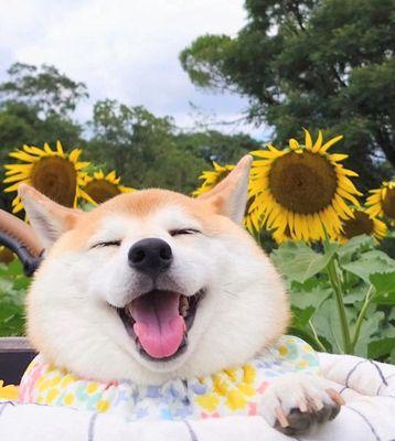 photo of Merchant M.