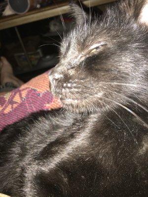 photo of Elizabeth P.