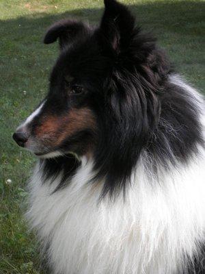 Photo of Beverly N.