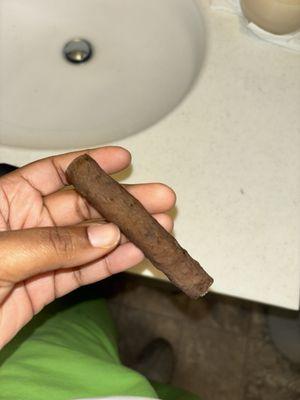 photo of Naughtica M.