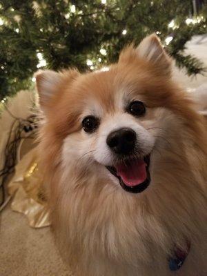 photo of Francine T.