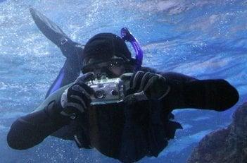 Photo of Jeff K.
