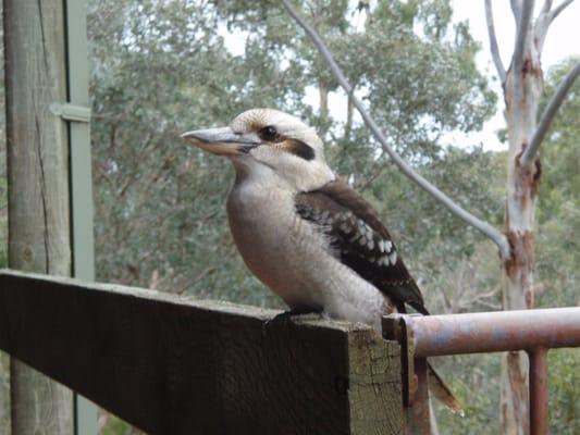 photo of Sojourner F.