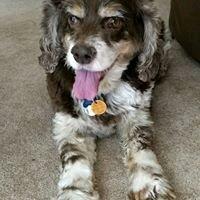 photo of Michelle P.