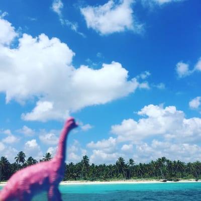 photo of Michelle F.