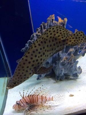 photo of Samantha C.