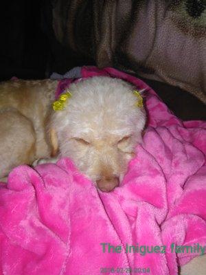 photo of Roseanna B.