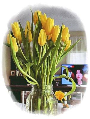 photo of Michelle W.