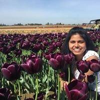 Photo of Dakshina I.