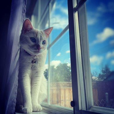 photo of Shantell M.