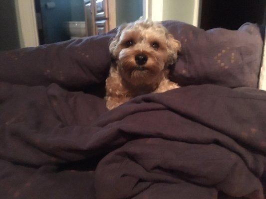 Photo of Deuce V.