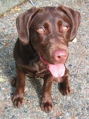 photo of Brando Calrissian ..