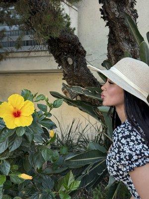 Photo of Simmi R.