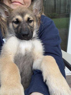 photo of Stephanie P.