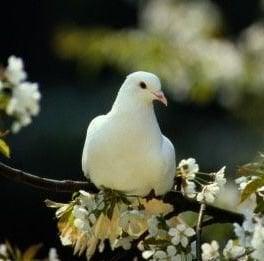 photo of Charlotte G.