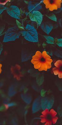 photo of Ania K.