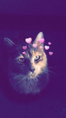 Photo of Ariana M.