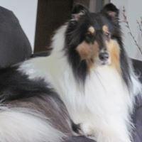 Photo of Kathy T.