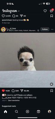 photo of Angelina R.